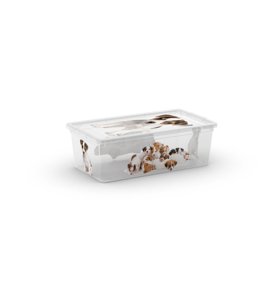 CONTENITORE C-BOX XS PUPPY